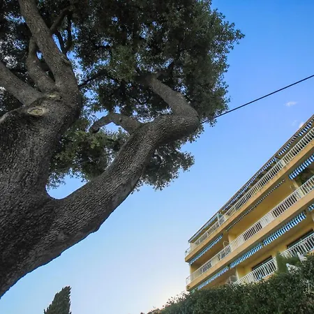 Les Marguerites Villefranche-sur-Mer